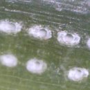 기공랜드 이미지