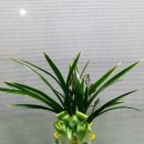 대훈유통 이미지