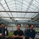 아침농장 이미지