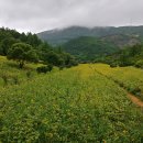 구와우농장 이미지