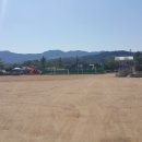 외남초등학교 이미지