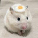 말랑 이미지