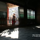 빛과 그림자 이미지