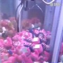 뽑기치트 이미지