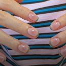 네일:솔(NAIL:SOL)