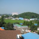 대야초등하교 이미지