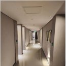 퍼플 315 이미지