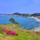 삼척오리마을 이미지