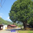 월명리 입구 ~ 월명리마을 이미지