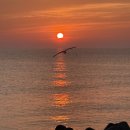 스테이울진 | 울진 오션뷰 숙소 추천 스테이온양99 내돈내산 후기