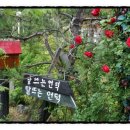 달뜨는언덕 이미지