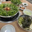 용산-서빙-1201 | 용리단길 맛집 용산 숨겨진 맛집 용산 샤브샤브 맛집 용산 청도 미나리 식당 내돈내산 후기