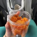 엔돌핀몽골