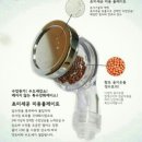 힘센 샤워기