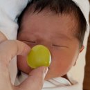 퀸스파크산후조리원 | 일산·식사동｜퀸스파크 산후조리원 후기 (마사지 후 -10kg)