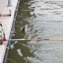 천지연낚시터 이미지