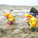 군헌어촌·체험휴양마을 이미지