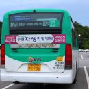 수원-1736 이미지