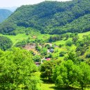 소나무 흑염소 목장 이미지