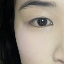 일본 파우더 추천/세잔느,에트왈로즈/일본 드럭스토어 화장품 추천템
