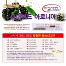 한반도면-8 이미지