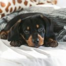 몽글몽글 이미지