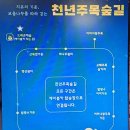 2025년1월12(둘째일요일)제101차 정기 강원 평창 발왕산눈꽃산행안내 이미지