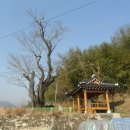순천-38호 네이버블로그