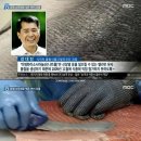 연어로만마트 Daum카페