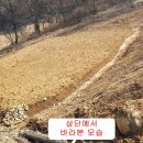 금성면 농공단지 이미지