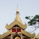 금탑호프 이미지