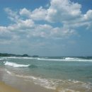 바람소리 이미지