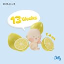 구암병원 | [임신일기] 분당제일 니프티 후기 구암이 성별은?!