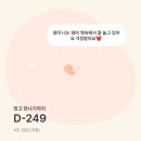 선산부인과의원 | [임신일기.5] 배란 10일차 두줄 / 원포 임신테스트 역전 / 원주 미즈산부인과 방문후기 / 임신 4주차