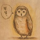 부엉