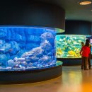 아쿠아민박 이미지