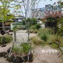 현풍로 | 현풍 카페 스몰버드 대구 왕큰왕귀 고양이 있는 한옥 힐링카페