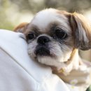 양천종합동물병원 이미지