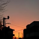 제주 더 아르테미스 | 제주 산방산 사계해변 카페 티하우스 [델픽] 내돈내산 솔직 후기(주차장, 메뉴 정보)