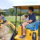 함포고복 이미지