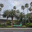 [제주] 제주국제 공항(濟州國際空港) 넷째 날. 이미지