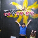 남양왕족발보쌈 이미지