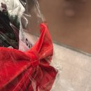 성성초등학교 이미지