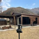 시고르까사 이미지