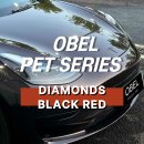 대구랩핑 테슬라 랩핑 OBEL DIAMONDS BLACK RED 다이아몬즈 블랙 레드 전체랩핑 후기