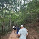 치유의 숲 주차장 화장실 | 숲 둘레길, 보문산 트레일러닝 코스, 사정공원 지압장에서 아이싱까지 (feat. 대전 치유의 숲 주차장 정보)