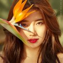 OK수지 이미지