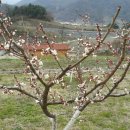 가실농장 이미지