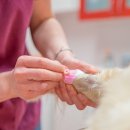 계산동물병원 이미지