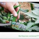 몽산농장 이미지